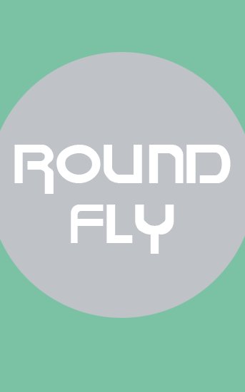 game pic for Round fly